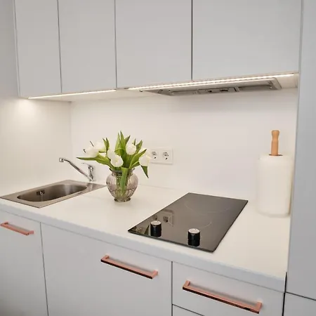 Cosy Near Akropolis And Svyturio Arena Apartment *