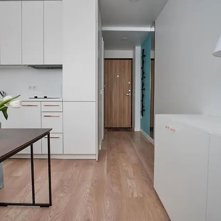 Cosy Near Akropolis And Svyturio Arena Apartment Klaipeda