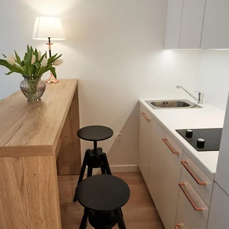 Cosy Near Akropolis And Svyturio Arena * Klaipeda