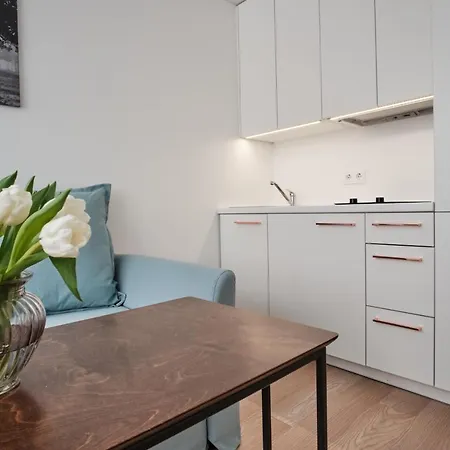 Cosy Near Akropolis And Svyturio Arena Klaipeda