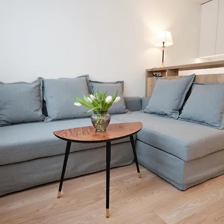 Cosy Near Akropolis And Svyturio Arena Apartment *
