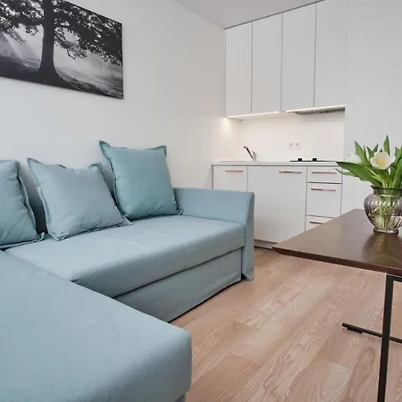 Cosy Near Akropolis And Svyturio Arena Apartment
