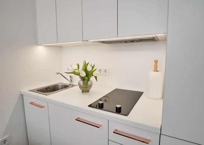 Cosy Near Akropolis And Svyturio Arena Apartment *