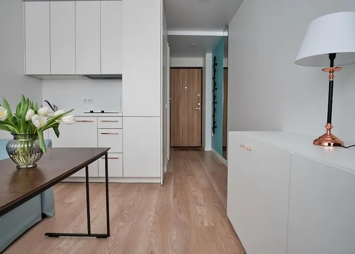 Cosy Near Akropolis And Svyturio Arena Apartment Klaipeda