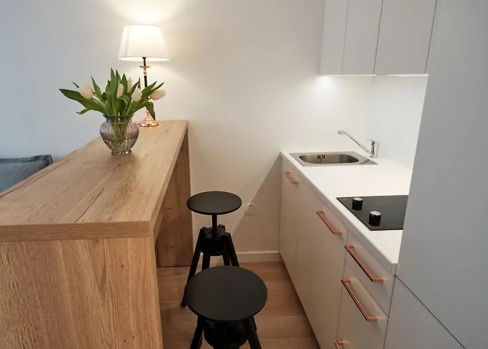 Cosy Near Akropolis And Svyturio Arena * Klaipeda