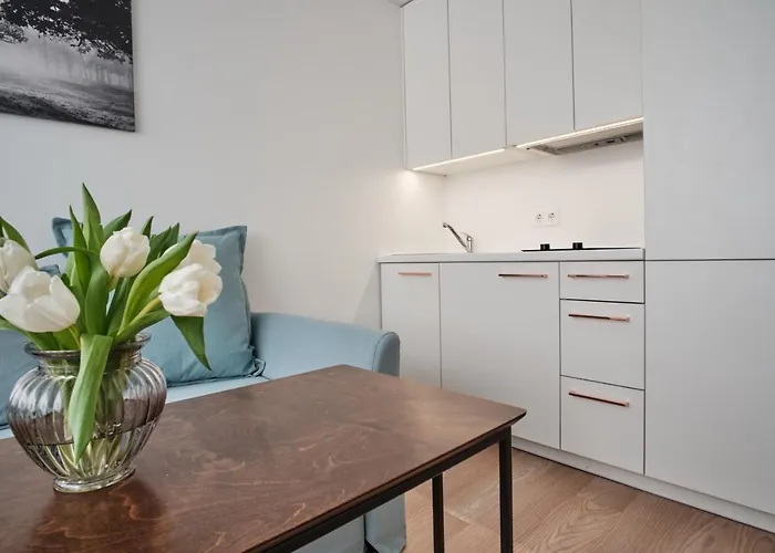 Cosy Near Akropolis And Svyturio Arena Κλαϊπέντα